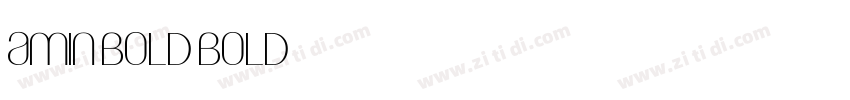 Amin Bold Bold字体转换